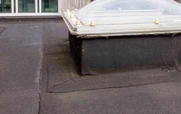 disadvantages of Middleton Baggot flat roofs